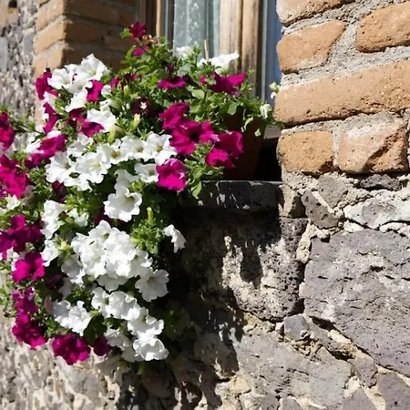 Dimora Pietra Antica * Milis